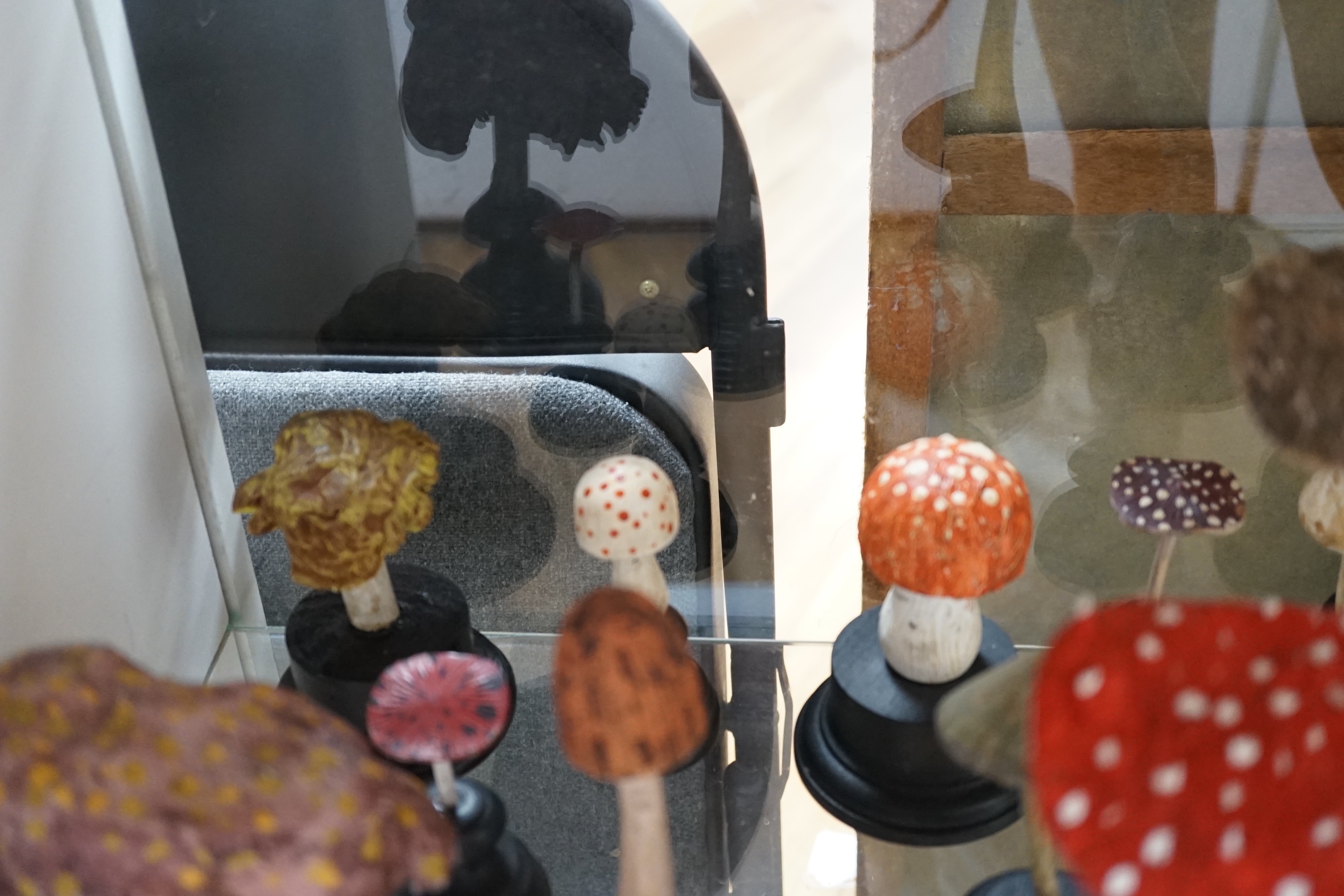 Twelve carved wood fungus specimen models, tallest 24cm